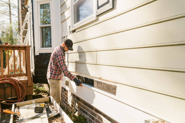 Trusted Siding Repair service in Williamsburg, FL - Creative Siding