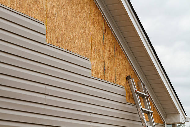 Professional Vinyl Siding technician working in Williamsburg, FL